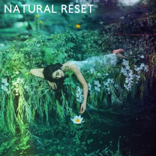 Natural Reset: Peaceful Piano Music with the Powerful Sound of Nature for Relaxation and a Positive Mindset, Calm the Body and Heal the Spirit