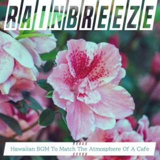 Hawaiian BGM To Match The Atmosphere Of A Cafe