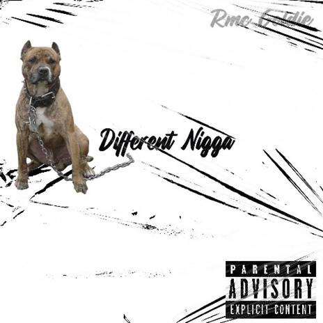 Different Nigga | Boomplay Music