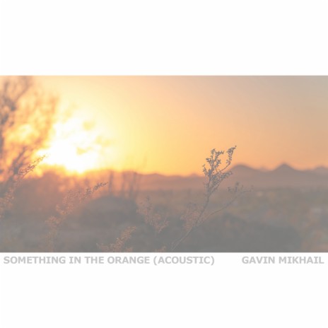 Something In The Orange (Acoustic) | Boomplay Music