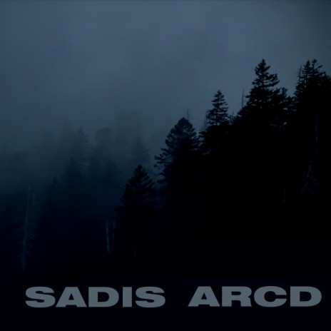 ACID WHIP ft. ARCD