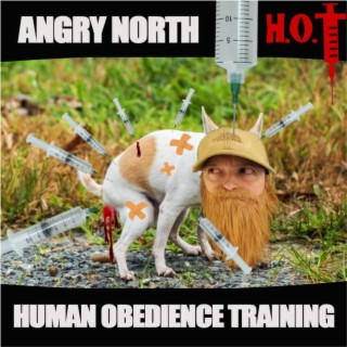 Human Obedience Training lyrics | Boomplay Music