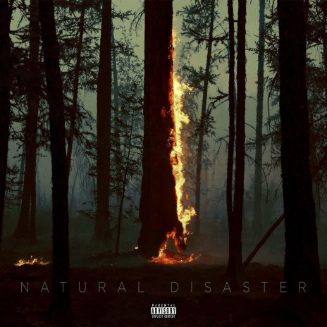 Natural Disaster (2022) | Boomplay Music