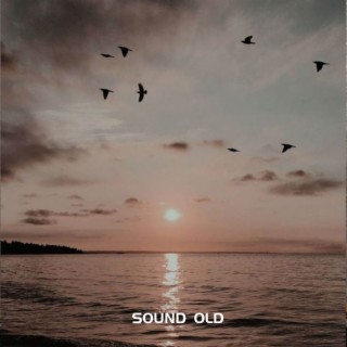 SOUND OLD OM TELOLETNYA COBA COBA (REMIX)