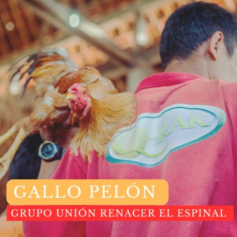 Gallo Pelón | Boomplay Music
