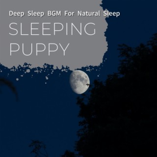 Deep Sleep BGM For Natural Sleep