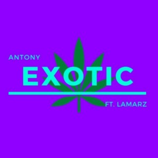 Exotic ft. Lamarz lyrics | Boomplay Music