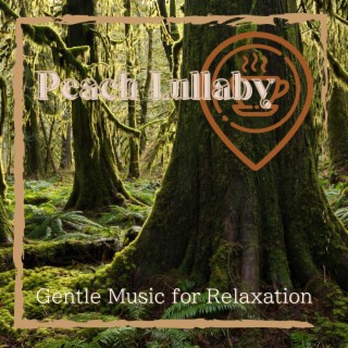 Gentle Music for Relaxation