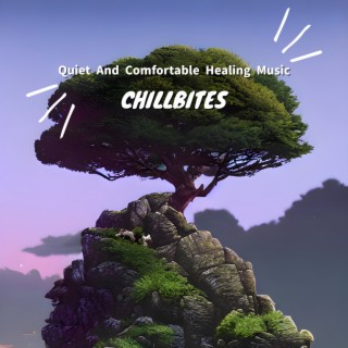 Quiet And Comfortable Healing Music