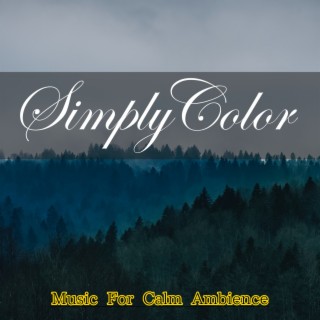Music For Calm Ambience