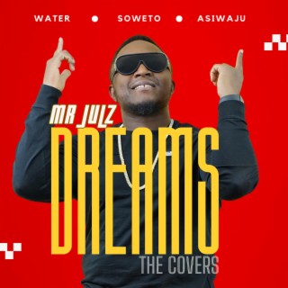 Dreams (The Covers)