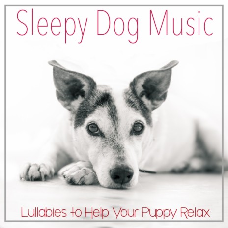 Background Waves ft. Pet Music Therapy & Relaxmydog | Boomplay Music