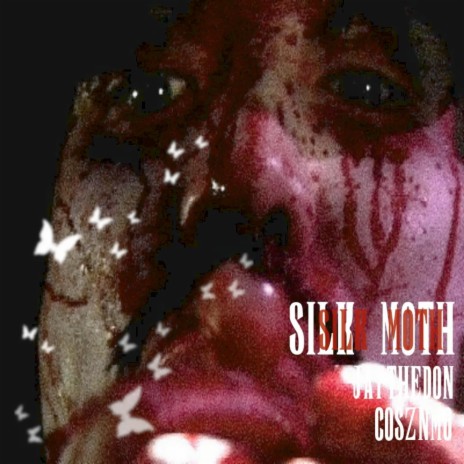 Silk Moth ft. Cosznmo | Boomplay Music