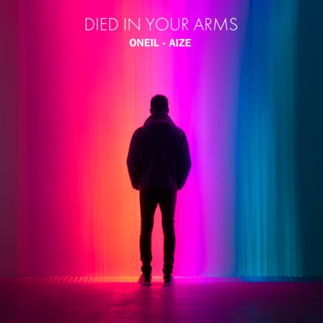 Died in Your Arms ft. Aize | Boomplay Music