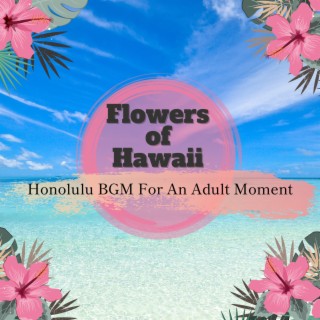 Honolulu BGM For An Adult Moment