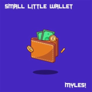 Small Little Wallet