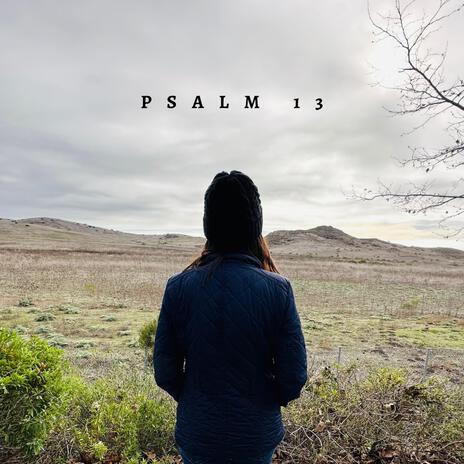 Psalm 13 | Boomplay Music