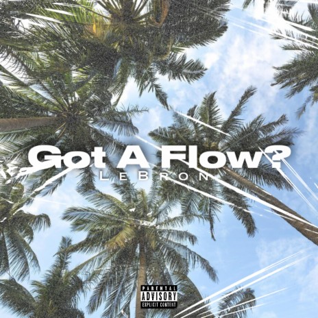 Got A Flow?