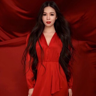 中国人中国年 lyrics | Boomplay Music