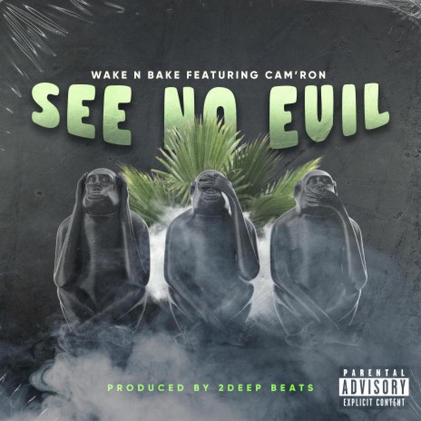 See No Evil ft. Cam'ron | Boomplay Music