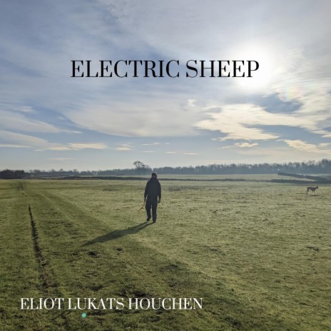 Electric Sheep | Boomplay Music