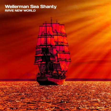 Wellerman Sea Shanty | Boomplay Music