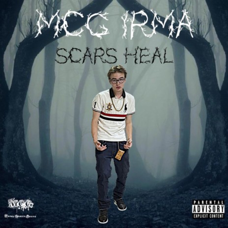 Scars Heal | Boomplay Music