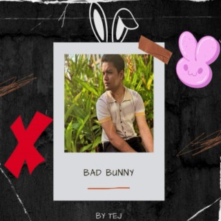 Bad Bunny lyrics | Boomplay Music