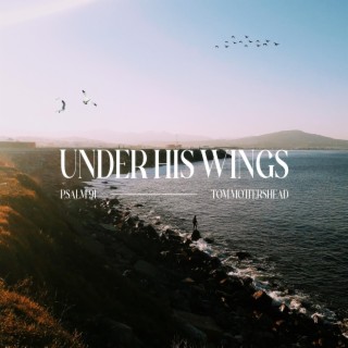 Under His Wings (Psalm 91) lyrics | Boomplay Music