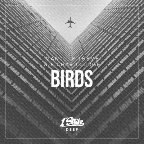 Birds ft. R-Theme & Richard Judge | Boomplay Music