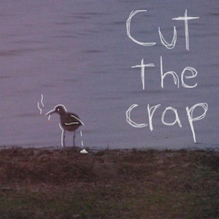 Cut the Crap lyrics | Boomplay Music