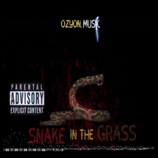 Snake in the grass