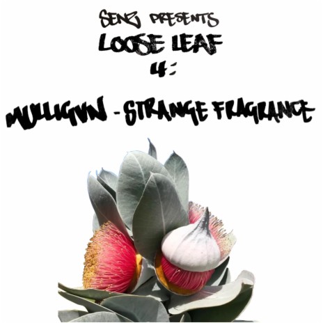 Strange Fragrance ft. Mulligvn