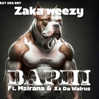 Baphi ft. Msirana & Xx Da Walrus lyrics | Boomplay Music