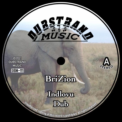 Indlovu Dub | Boomplay Music