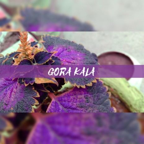 Gora Kala | Boomplay Music