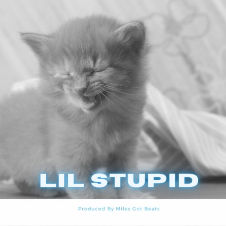 Lil Stupid (Instrumental)