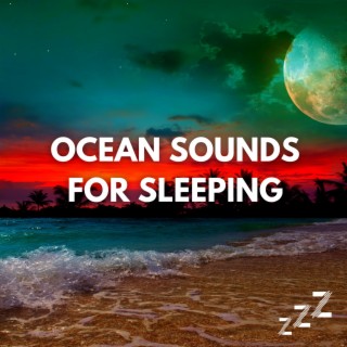 Ocean Sounds for Sleeping 30 Minutes