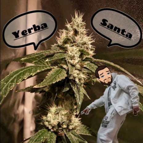 Yerba Santa | Boomplay Music