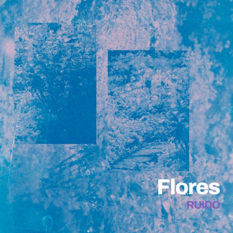 Flores | Boomplay Music