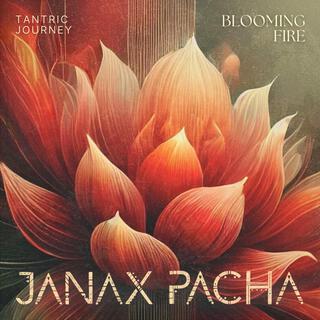 Blooming Fire (Tantric Journey)