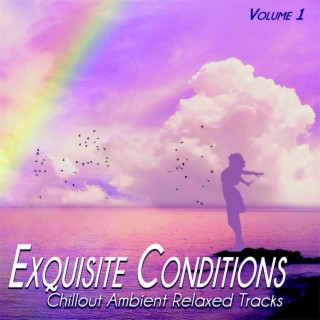 Exquisite Conditions, Vol.1 - Chillout Ambient Relaxed Songs