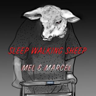 Sleep Walking Sheep