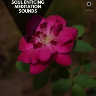 Soul Enticing Meditation Sounds