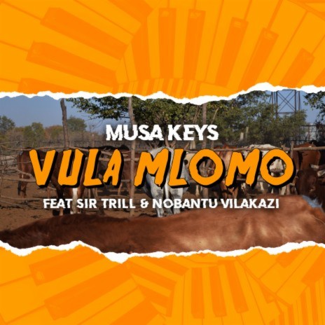 Vula Mlomo (Radio Edit) ft. Sir Trill & Nobantu Vilakazi | Boomplay Music