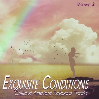 Exquisite Conditions, Vol.3 - Chillout Ambient Relaxed Songs