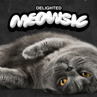Delighted Meowsic