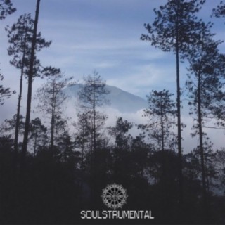 Soulstrumental