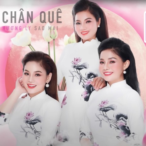 Gặp Nhau Giữa Rừng Mơ | Boomplay Music