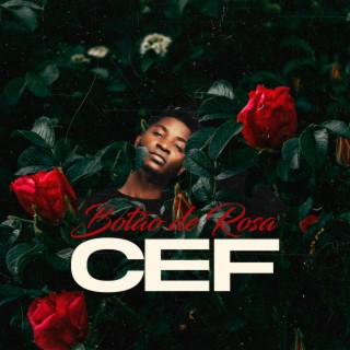 Cef